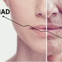 NAD Nedir ve Neden Önemlidir?